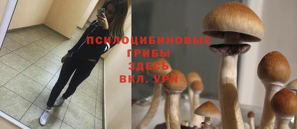 первитин Гусиноозёрск