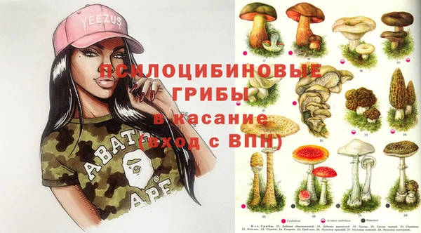 экстази Гусь-Хрустальный