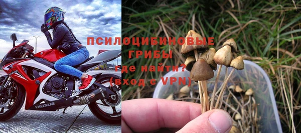 экстази Гусь-Хрустальный