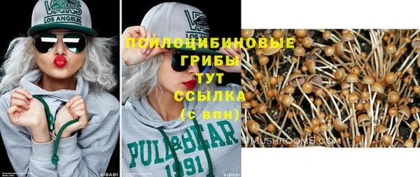 первитин Гусиноозёрск