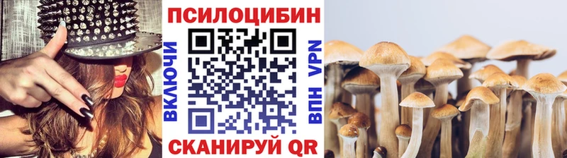 Купить закладки  Жуковский  Псилоцибиновые грибы мицелий 
